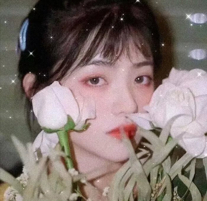 冰雪友情